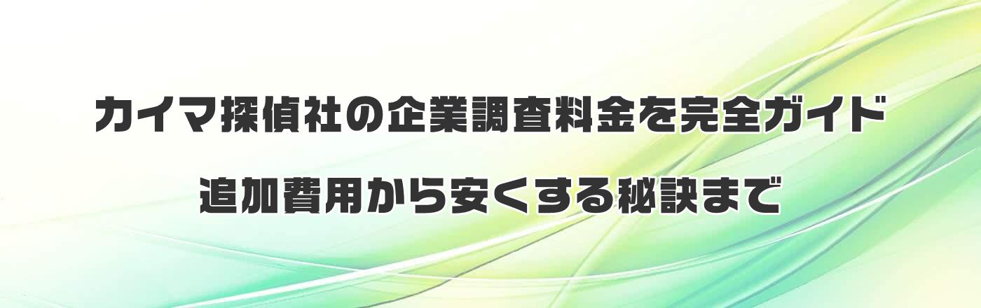 �J�C�}�T��Ђ̊�ƒ������������S�K�C�h�b�ǉ���p�����������錍�܂�